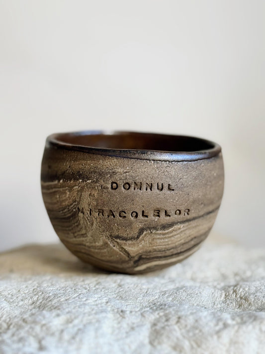 Rooted - Domnul miracolelor